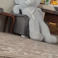 خرس دو متری