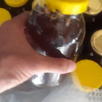 عسل زنبور عسل طبیعی کوهستان روغن حیوانی پنیر کوزه|خوردنی و آشامیدنی|تهران, آرژانتین|دیوار