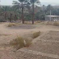 زمین مسکونی|فروش زمین و ملک کلنگی|احمدی, |دیوار