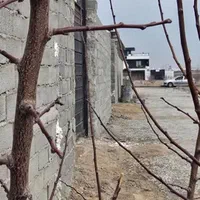 فروش ۸۵ مترباغچه شهریار درجنوب غرب تهران|فروش زمین و ملک کلنگی|رباط‌کریم, منجیل آباد|دیوار