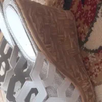 دمپایی مجلس