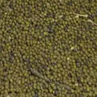 ماش محلی پنجاه کیلوبه بالا۱۳۰هزار