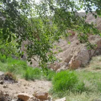تور گردشگری