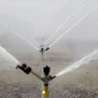 اجاره-70-هکتار-زمین-بارانی