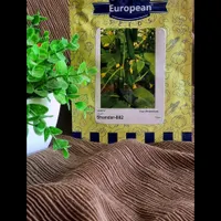 بذر گوجه خیار فلفل|گل و گیاه طبیعی|مرودشت, فاز دوم شهرک فرهنگیان|دیوار