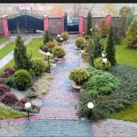 حیاط سازی و نگهداری گل و گیاه