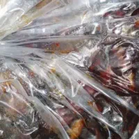 خرما مرداسنگ درجه 1