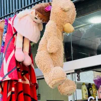 مجموعه خشکشویی های سهیل|خدمات نظافت|شیراز, حافظیه|دیوار