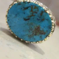 فیروزه شجری فوق کلکسیونی