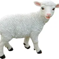 مجسمه بره نر چپ دم عربی