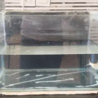 فروش آکواریوم به همراه لوازم