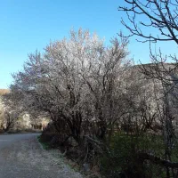 ۹۰متری پرستار(پارک لاله)