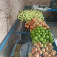 فریزر سالم با سه عدد میز میوه فروشی