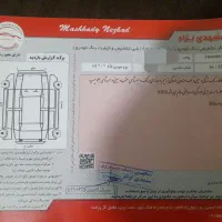 پژو ۲۰۶ sd  رنگ فابریک v20|خودرو سواری و وانت|خمینی‌شهر, |دیوار