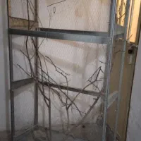 123|لوازم جانبی حیوانات|تربتحیدریه, شهرک ولیعصر|دیوار