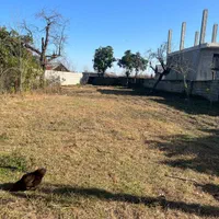 زمین ۵۷۵ متری مسکونی /سند تک برگ / روستای چکو‌پشت|فروش زمین و ملک کلنگی|رضوانشهر, |دیوار