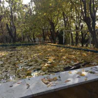 ویلا ۱۲۸۰ متر ۱۰۰ متر بنا کردان کوهسار|فروش خانه و ویلا|کوهسار (البرز), |دیوار