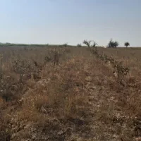 زمین کشاورزی یک هکتار