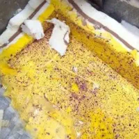 پخش بستنی سنتی گندم برای مراسمات
