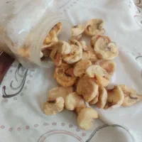 فروش مایه ی خرگوش