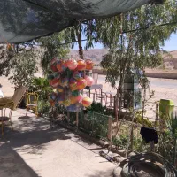 فروشنده جهت سوپر مارکت همراه با جای خواب|استخدام خدمات فروشگاه و رستوران|اصفهان, جلفا|دیوار