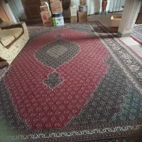 فرش ۱۲متری در حدنو|فرش|بهار, |دیوار