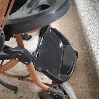 کالسکه|کالسکه و لوازم جانبی|آستانه اشرفیه, |دیوار