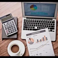 حسابدار حرفه ای