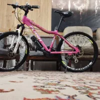 فروش انواع دوچرخه های دسته دو اروپایی|دوچرخه، اسکیت، اسکوتر|یزد, |دیوار