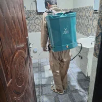 سم پاشی ساختمان|خدمات نظافت|بندر کنگان, |دیوار