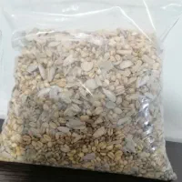 گندم شادونه