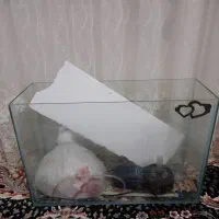 آکواریم و پمپ باهم