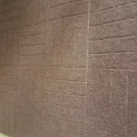 دوتا پادری بنفش تیره درحدنو