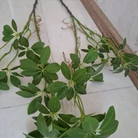 گل مصنوعی و گلدان|گل مصنوعی|شیراز, شیمی گیاه|دیوار