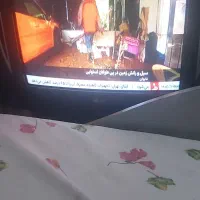 تلویزیونکاملاسالم|تلویزیون و پروژکتور|اردبیل, |دیوار