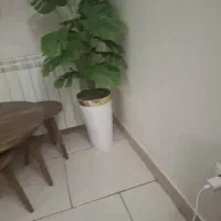 گل و گلدان نونو