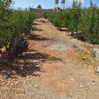 باغشهر-پردیس-راه