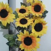 ۸شاخه آفتابگردان باگلدان