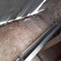 به شرط سالم بودن میفروشم|لوازم جانبی حیوانات|قم, کیوانفر|دیوار