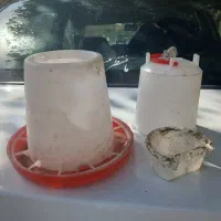 برای غذای حیوانات