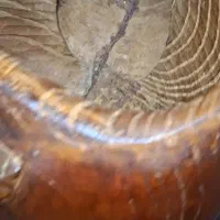 تار قدیمی|سازهای سنتی|تهران, شهرک دانشگاه|دیوار