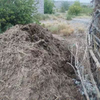 کود گاو وانتی دوملیون