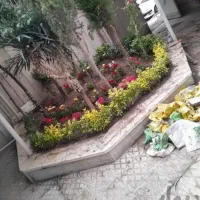 باغبانی در پردیس کرشت رودهن مهراباد|خدمات باغبانی و درختکاری|پردیس, فاز ۸|دیوار