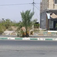 فروش ثمر خرما