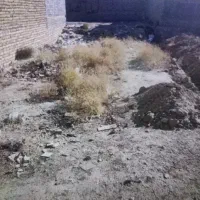 زمین-در-آغوی