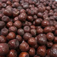 عناب تازه بیرجند