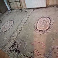 ۲تخته فرش ۶متری هم رنگ وهم شکل|فرش|شاندیز, |دیوار