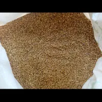 گندم بذری مهرگان بوجاری شده زمین خودم