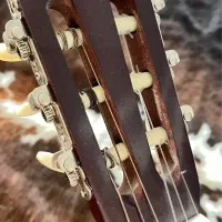 گیتار|گیتار، بیس، امپلیفایر|تهران, آجودانیه|دیوار