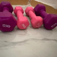 دمبل دو و چهار کیلویی